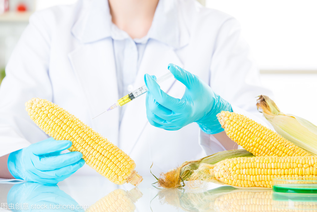 基因改造食品的生物技術開發及其在實驗室中的前沿探索